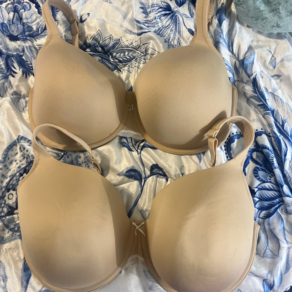 2 Lane Bryant Bras